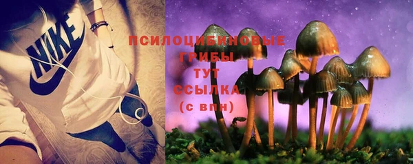 ГАЛЛЮЦИНОГЕННЫЕ ГРИБЫ Нижний Тагил