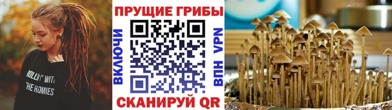 Галлюциногенные грибы GOLDEN TEACHER  Звенигово 